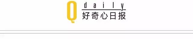 别提中国动画工业，《大鱼·海棠》引发争议的原因根本和工业无关