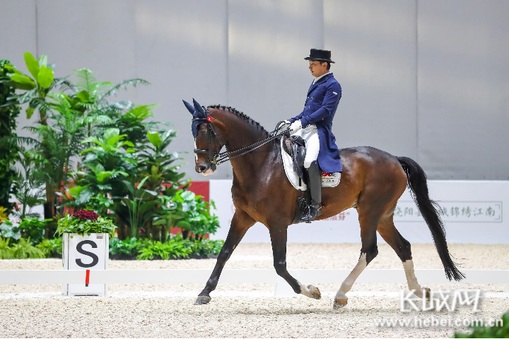 香港赛马软件有简体版吗_下载安卓游戏之香港赛马场_香港的赛马场