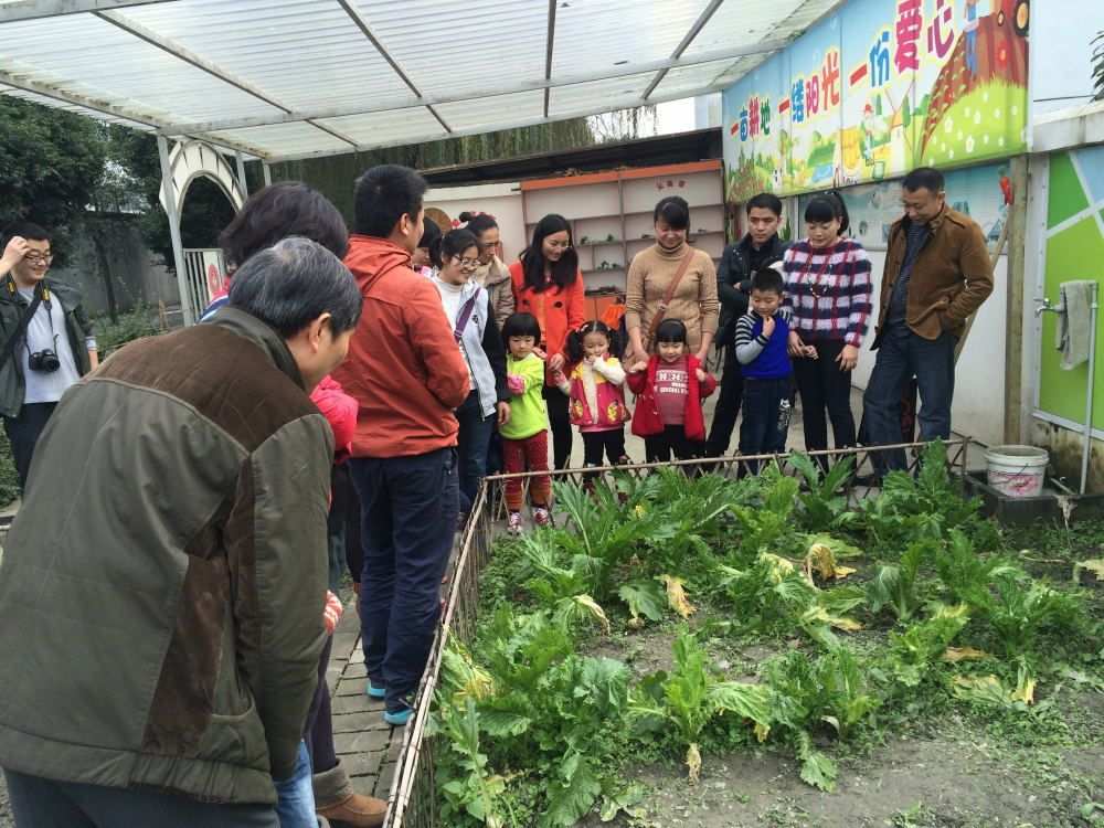 农场种菜开心偷菜视频_农场种菜偷菜游戏_开心农场偷菜种菜