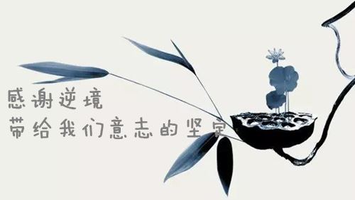 逆态度张杰_逆态度_逆态度的歌词