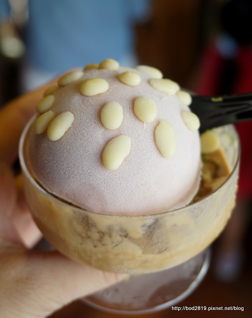 蘑菇季diy_蘑菇园四季版攻略_四季版菇菇栽培图鉴