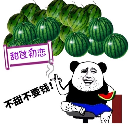 天才小熊猫玩的游戏_神经病熊猫表情包_天才小熊猫神经病游戏