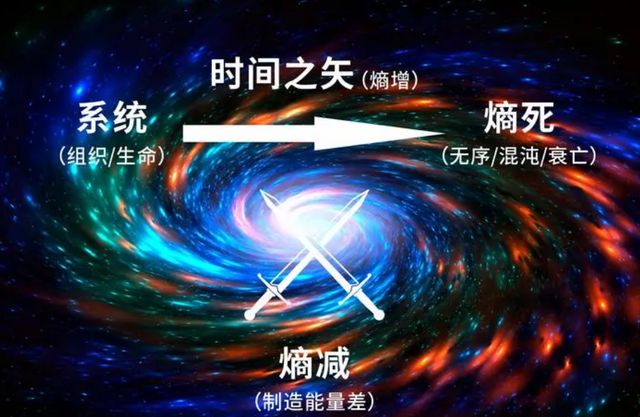 轮回任务完成做哪些任务_轮回任务完成做什么_完成轮回任务怎么做