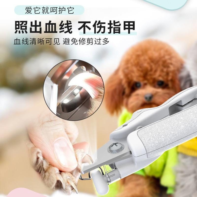 宠物店服务项目多样新闻_宠物店服务项目_宠物店服务项目价格表