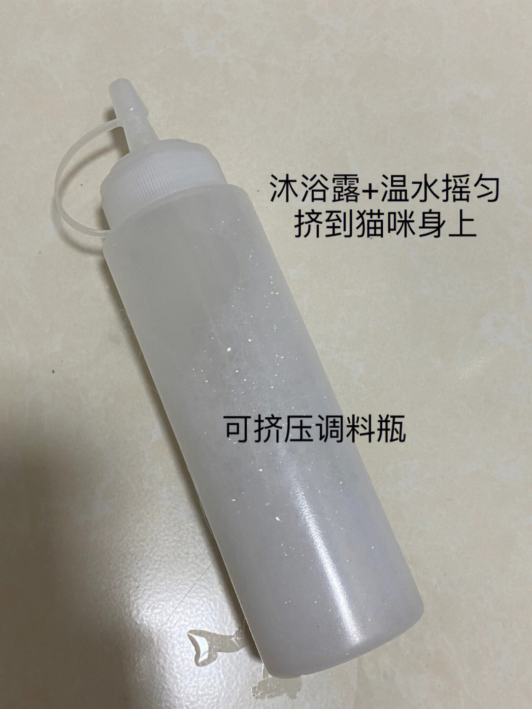 给猫洗澡是用洗头膏还是沐浴露_猫咪洗澡要用专用沐浴露吗_用什么给猫咪洗澡