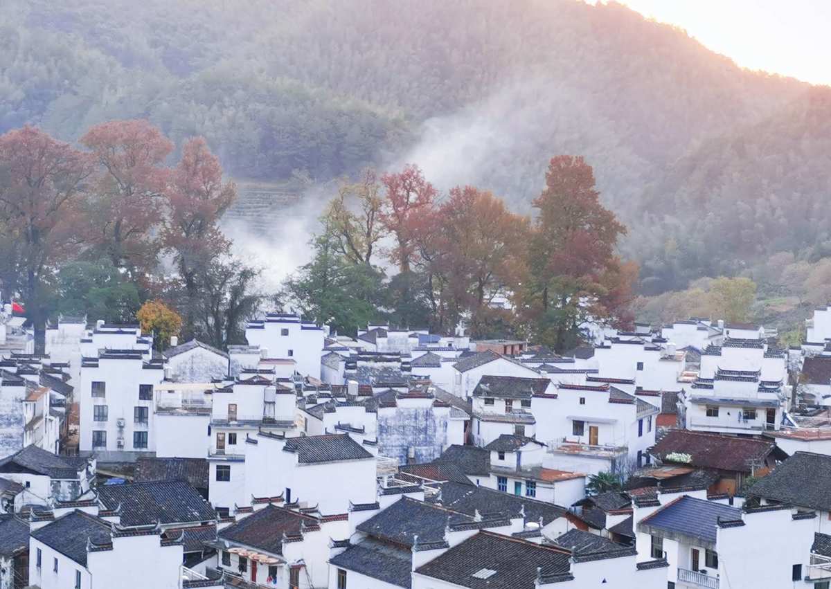 cfbug寂静村_寂静村的楼梯墙怎么上_寂静村钟楼女鬼怎么跳