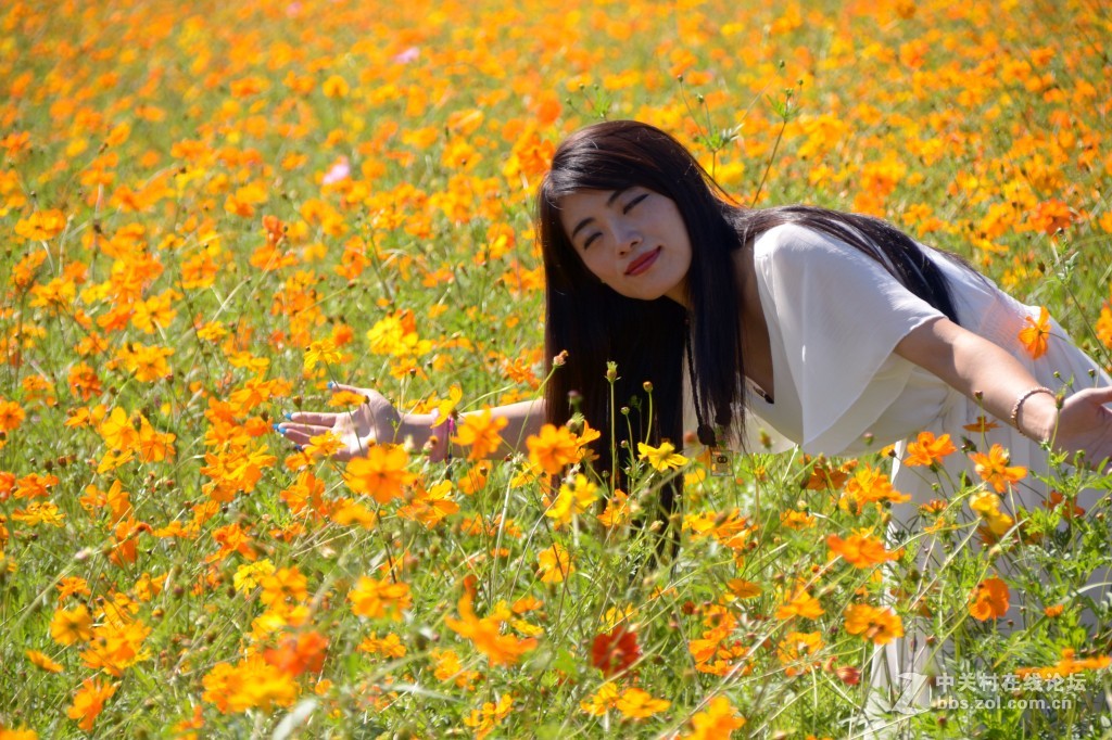 美女被草图片_在厕所草了美女_美女草比