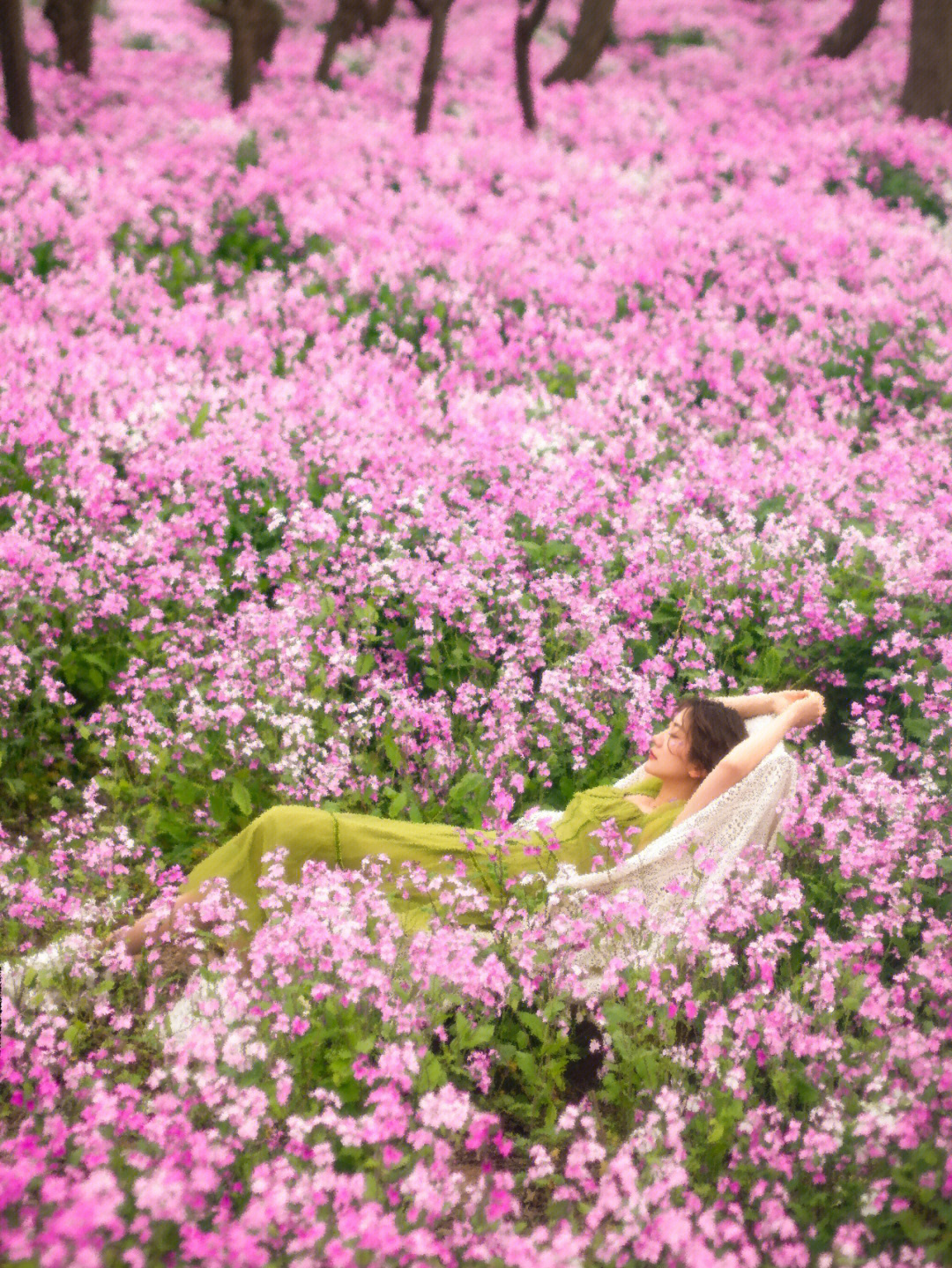 在厕所草了美女_美女被草图片_美女草比