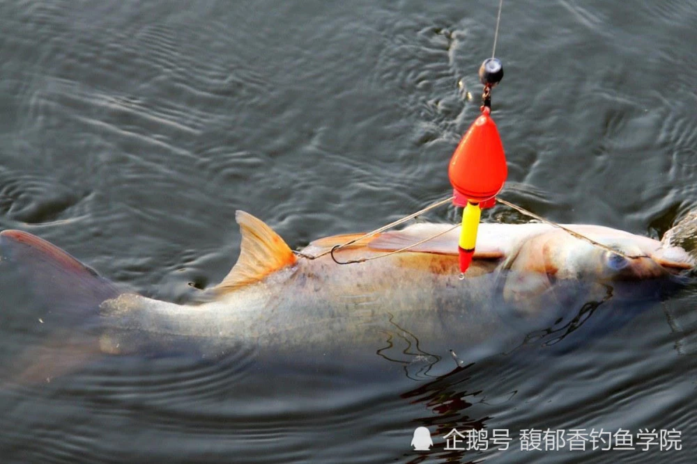 垂钓之王游戏视频_垂钓之王攻略_垂钓之王高清版百科