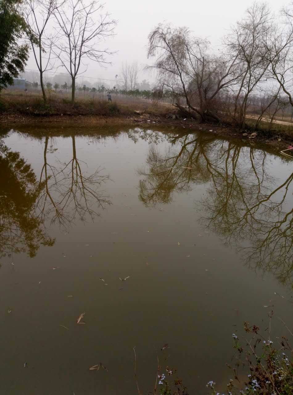 钓鱼视频手杆教程_视频钓鱼竿钓鱼视频_钓鱼视频 手杆钓鱼