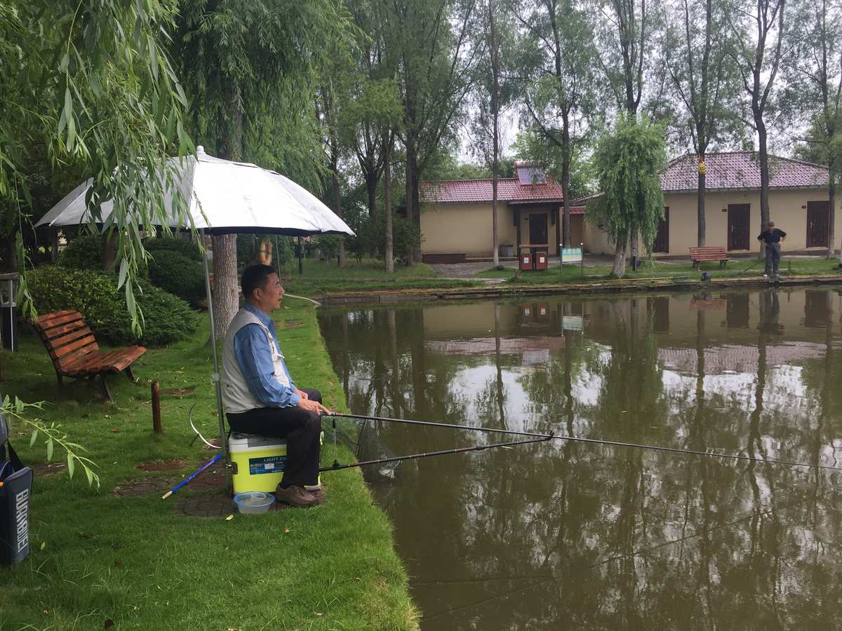 钓鱼视频 手杆钓鱼_视频钓鱼竿钓鱼视频_钓鱼视频手杆教程
