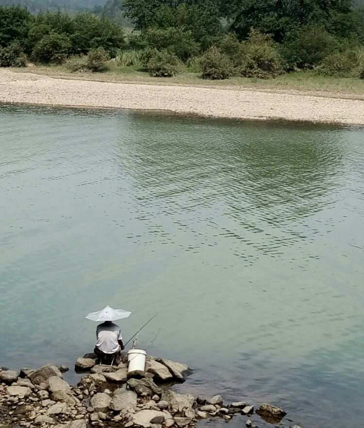 视频钓鱼竿钓鱼视频_钓鱼视频 手杆钓鱼_钓鱼视频手杆教程