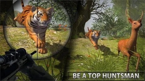 打猎大全游戏手机版_打猎的游戏手机游戏_打猎游戏大全