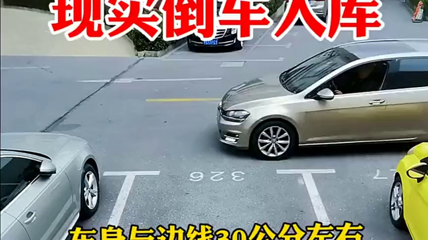 倒车入库3d模拟软件_倒车入库3d模拟软件下载_倒车入库3d游戏