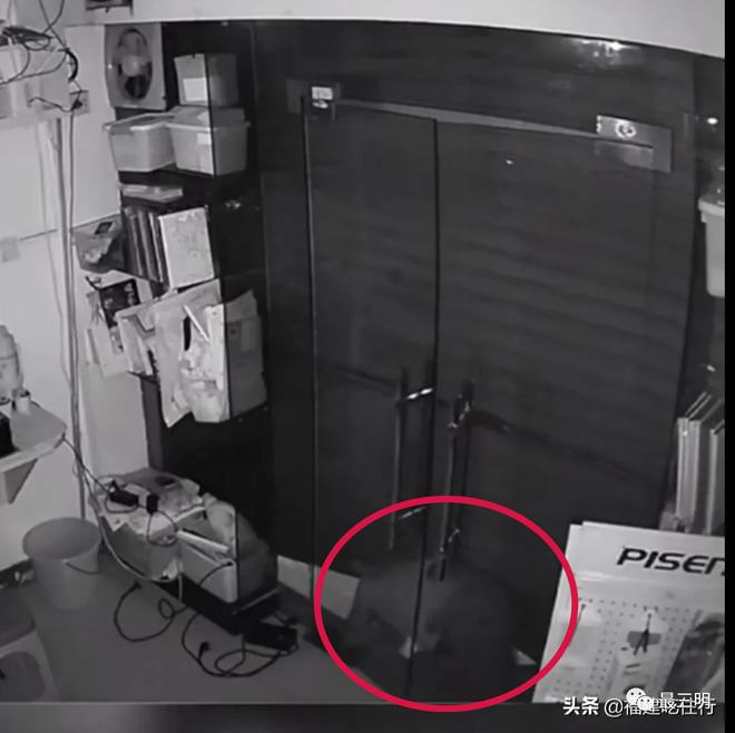 小偷游戏大全_小偷游戏单机_好玩的小偷游戏