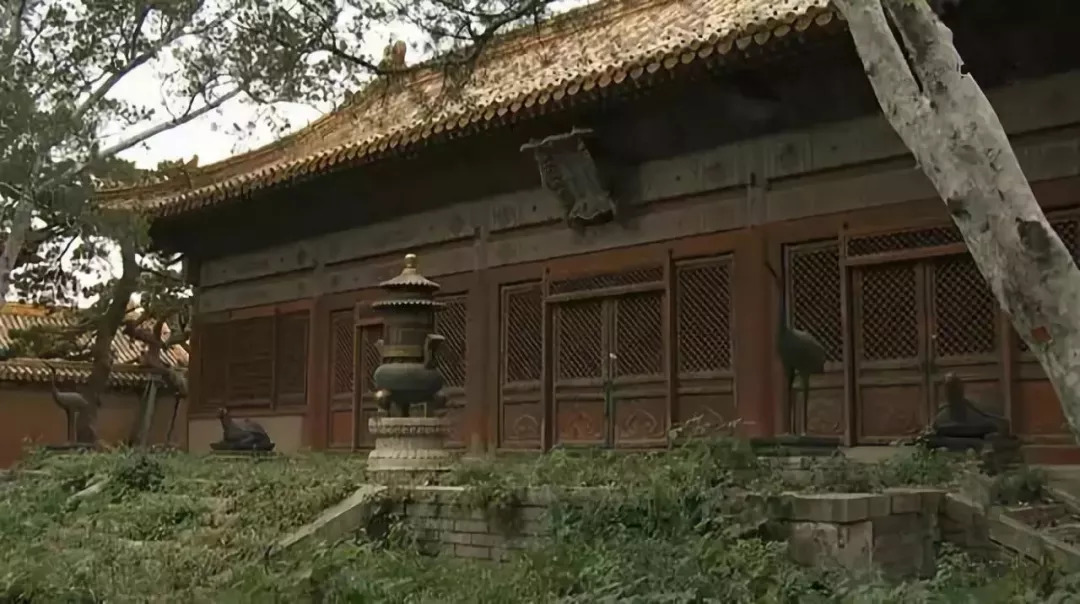 195刺影合击看不见皇宫更新那个区_195刺影合击辅助_195刺影合击