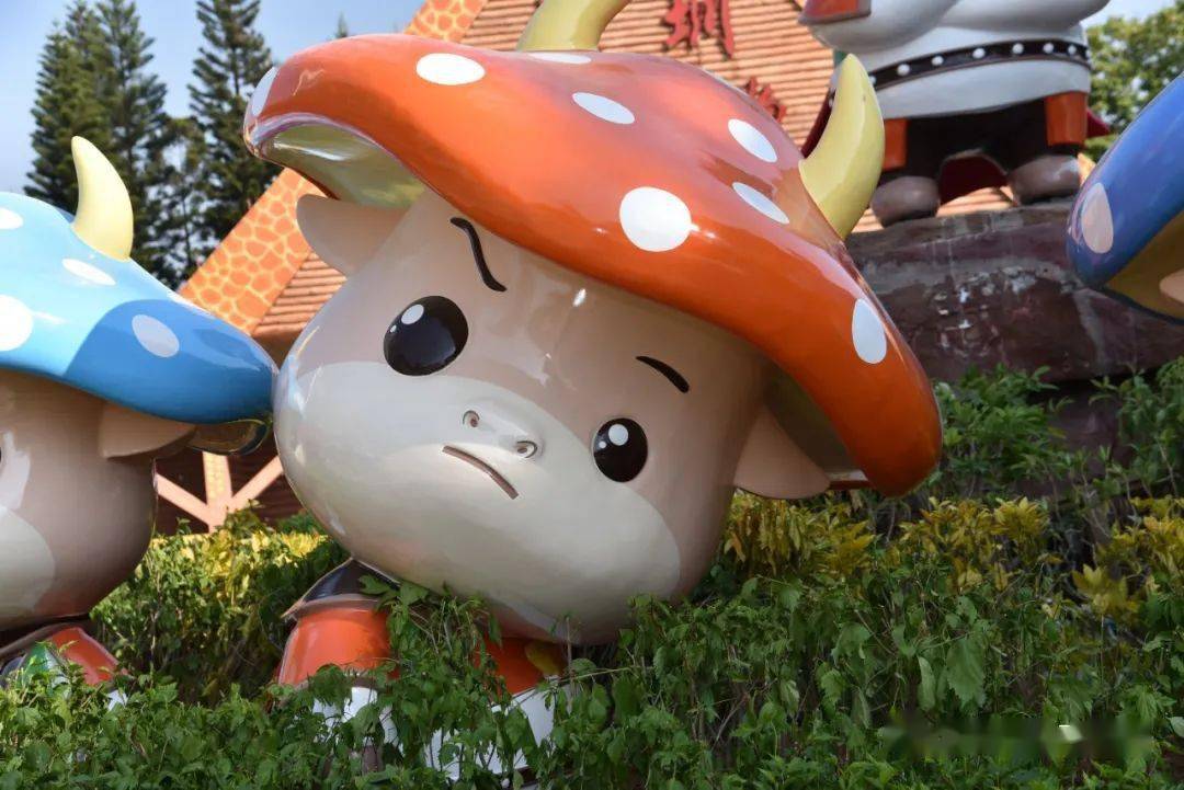 牛小蘑菇：独一无二的世界