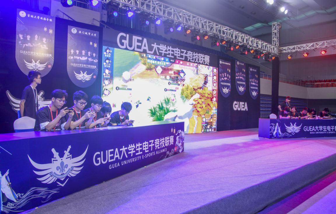 精彩对决：WCg游戏项目震撼登场！