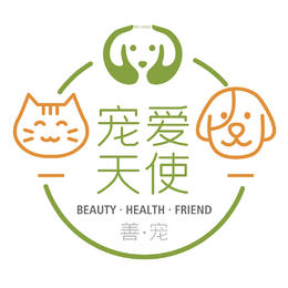qq宠物辅助宠爱天使官网_lol天使辅助官网_宠爱天使怎么自动吃属性食品