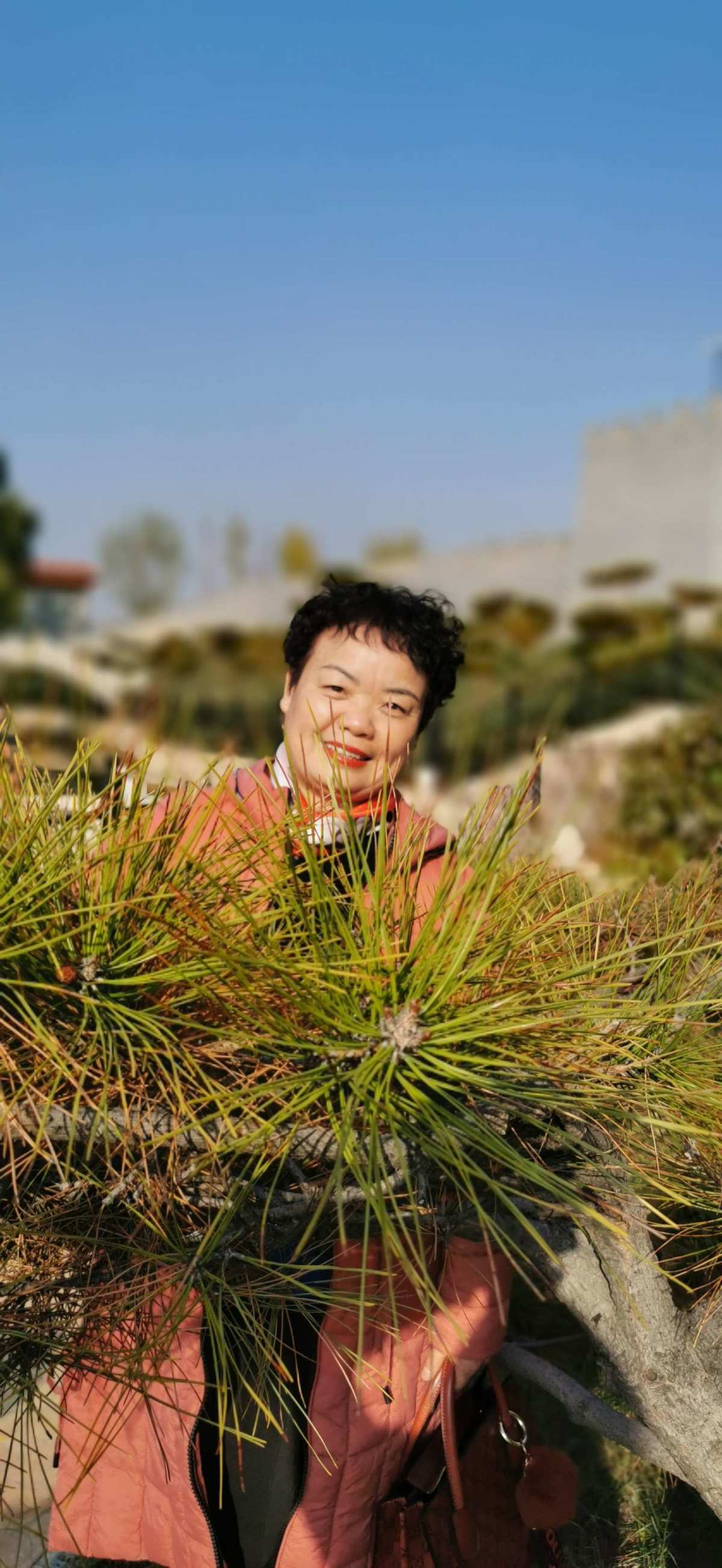 存档游戏软件_存档游戏大全_swf游戏存档