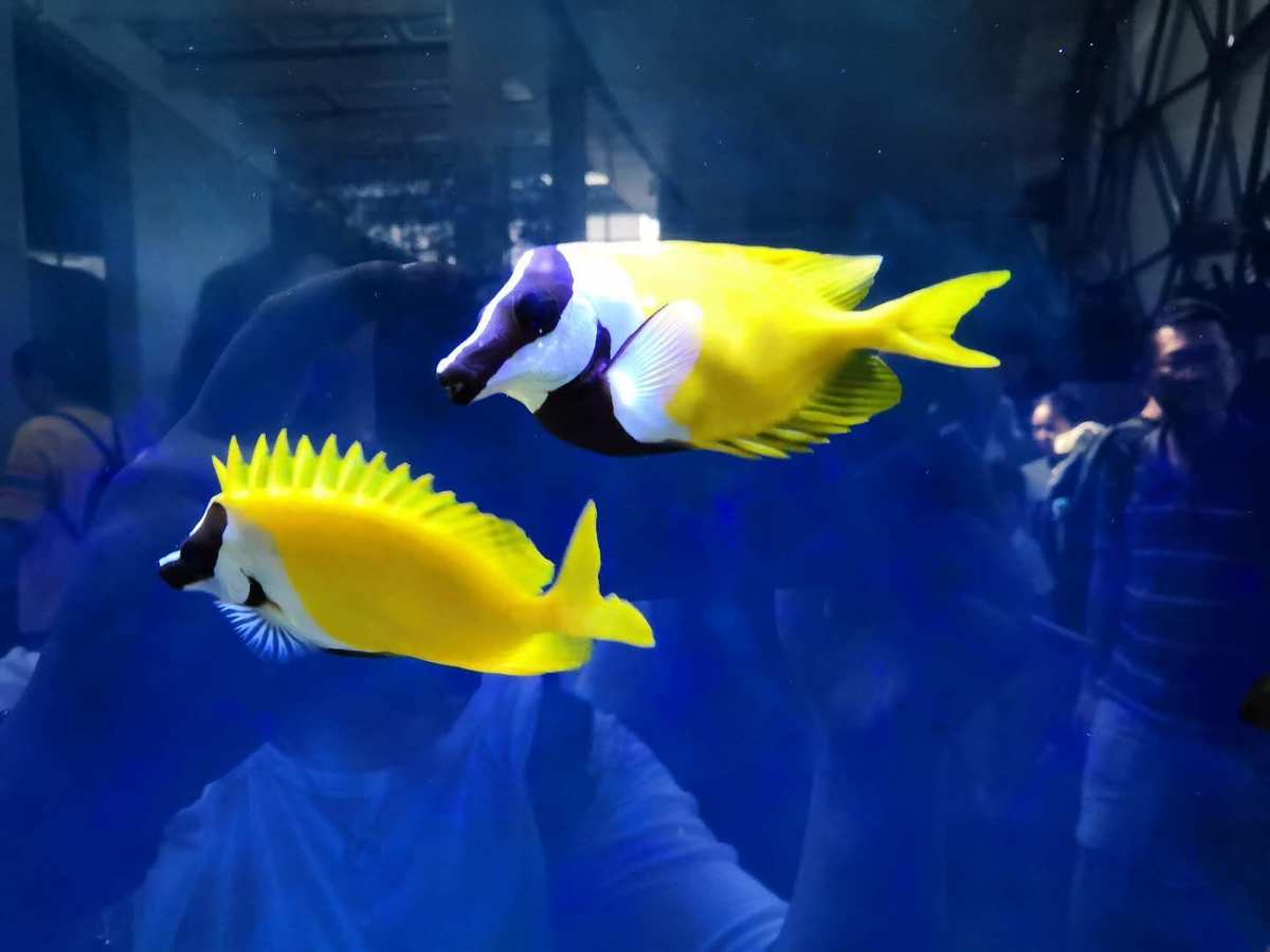 海洋水族馆游戏_海水族馆下载_海洋水族箱游戏