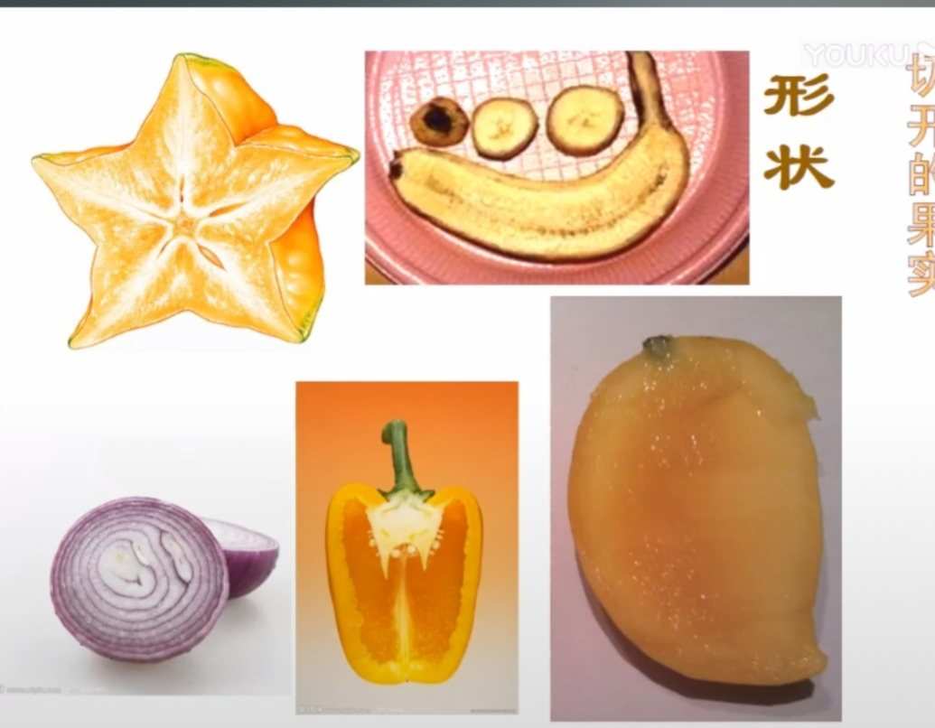 水果拼盘小游戏_制作水果拼盘游戏_水果制作拼盘游戏教案