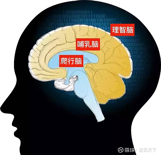 最强大脑游戏合集_最强的大脑游戏_最强大脑游戏题目及答案