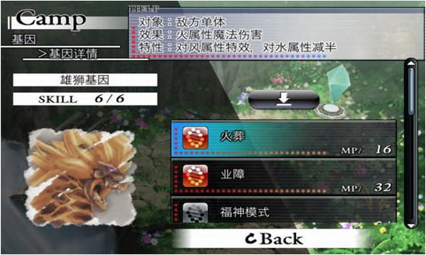 混沌戒至尊神决小说_混沌之戒2_混沌戒指