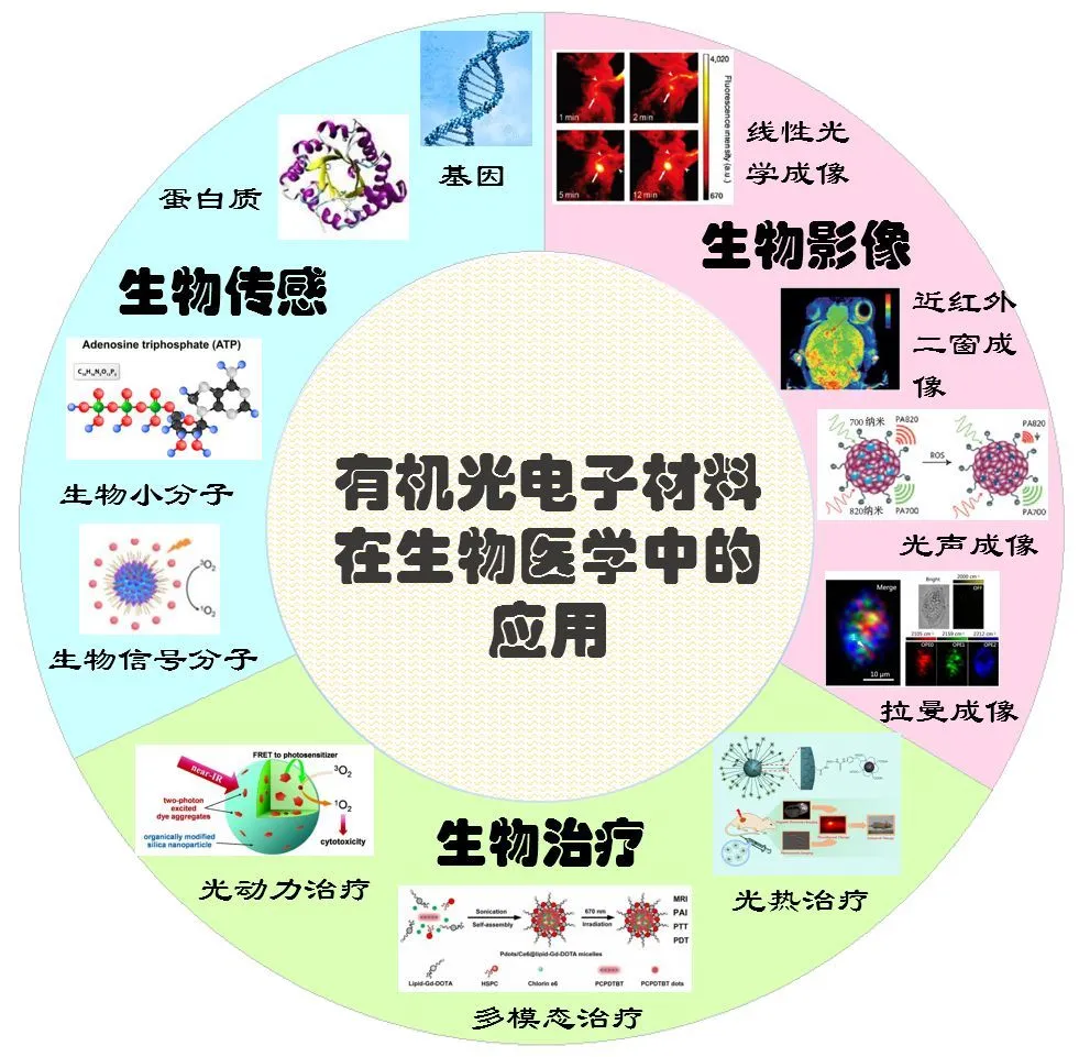 光电pl6_光电PLC_光电PL和PS