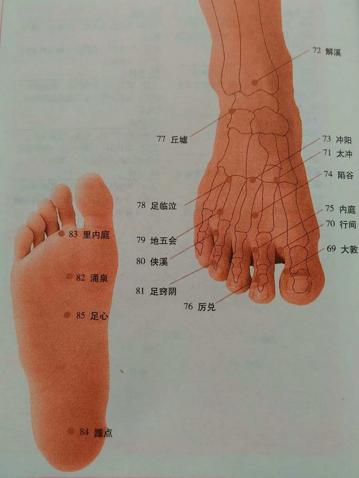 按脚底哪个穴位助睡眠_按摩脚底穴位图解_扬恋脚底穴位视频