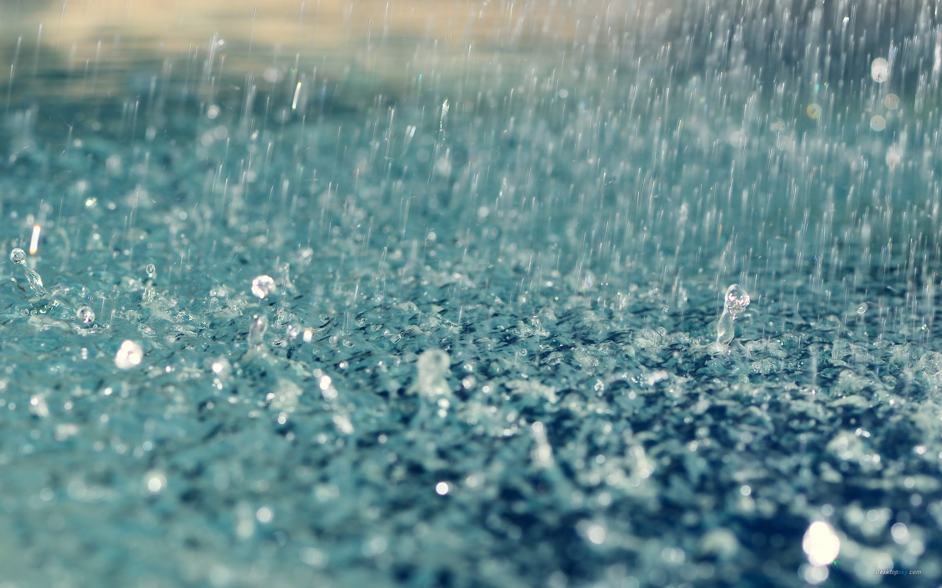 雨滴桌面秀怎么用_雨滴桌面教程_雨滴桌面秀怎么设置成中文