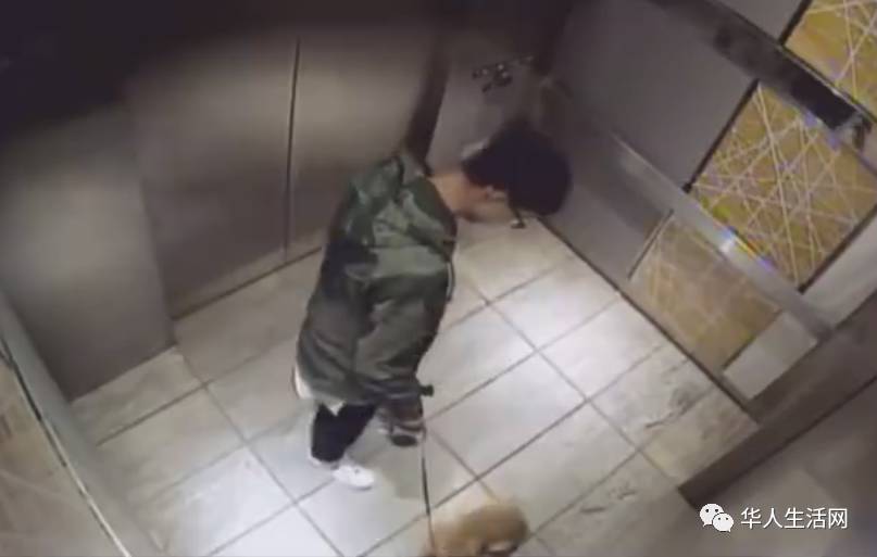 超凡蜘蛛侠1解说_超凡蜘蛛侠手游视频_超凡蜘蛛侠游戏解说