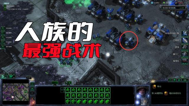 星际第一战斗鸡九日殿_星际第一战斗鸡芦喔喔_星际一战役