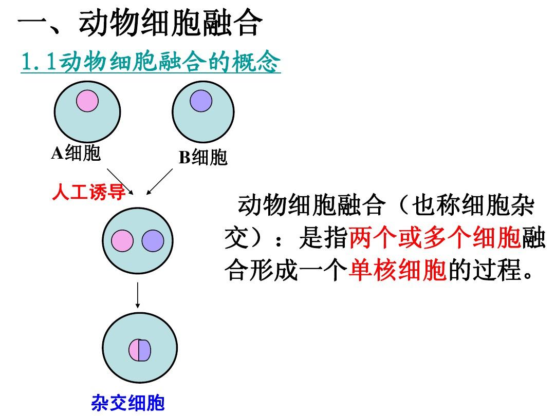 dna2 游戏_dna2_桂正和dna2