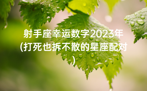 射手座的幸运数字怎么写_射手座幸运数字是什么数字_射手座的幸运数字