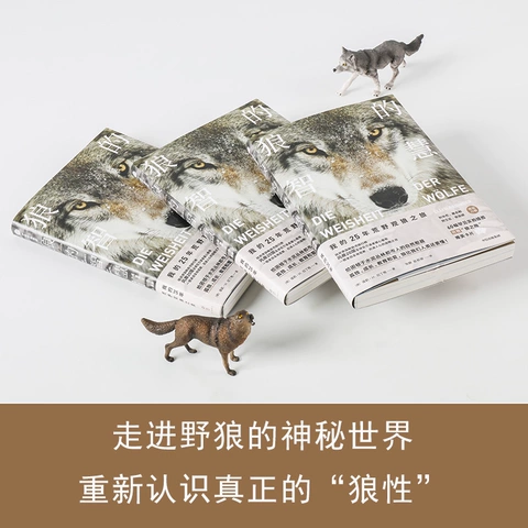 狼与辛香料百度百科_狼与香辛料游戏_cosplay狼与香辛料