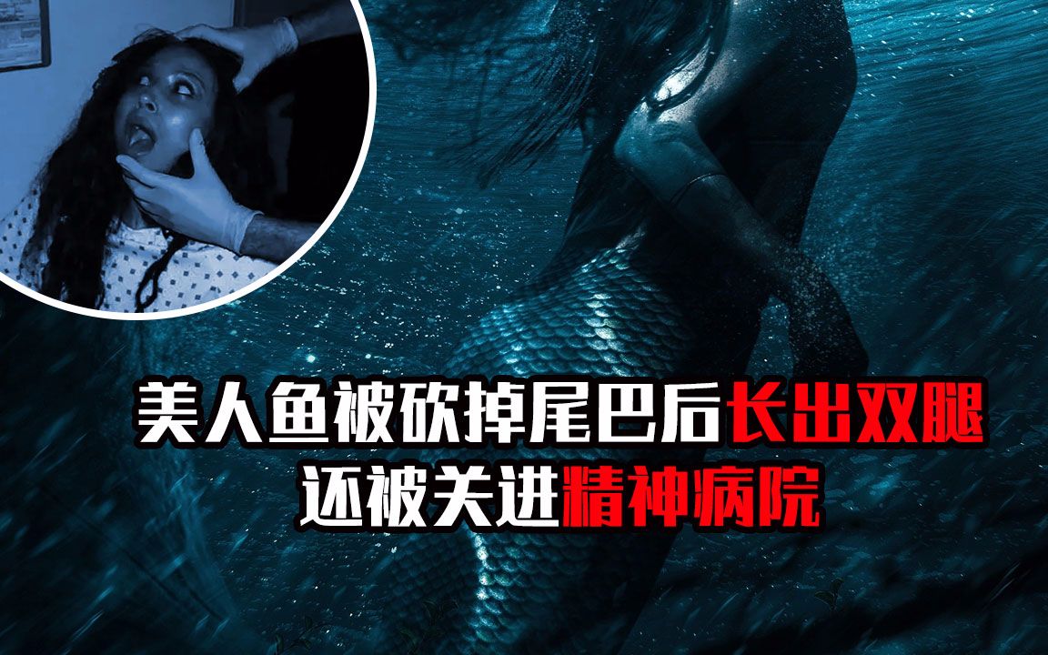 食人鱼3dd主演_食人鱼3d电影时长_3dd电影食人鱼