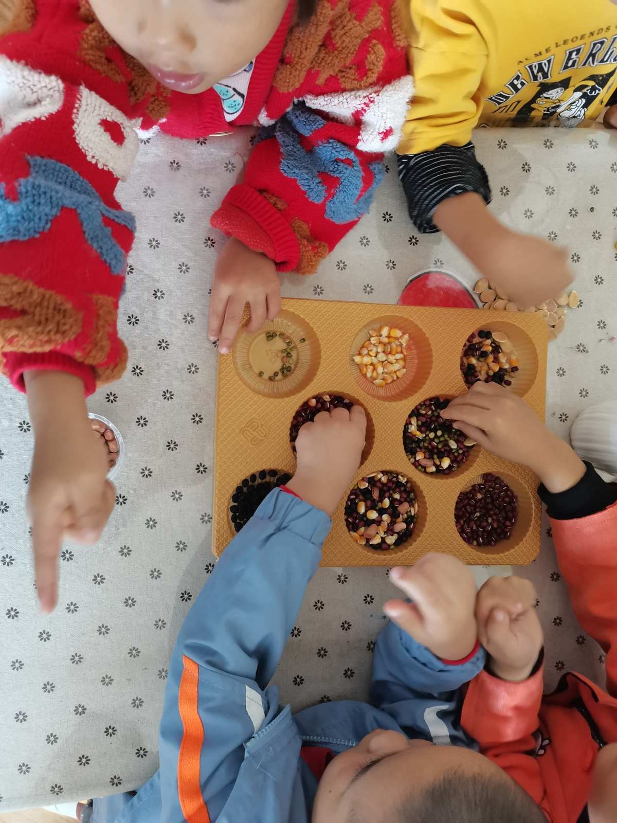 蚂蚁搬豆幼儿园游戏_幼儿园蚂蚁搬豆歌谱_幼儿游戏蚂蚁搬豆玩法