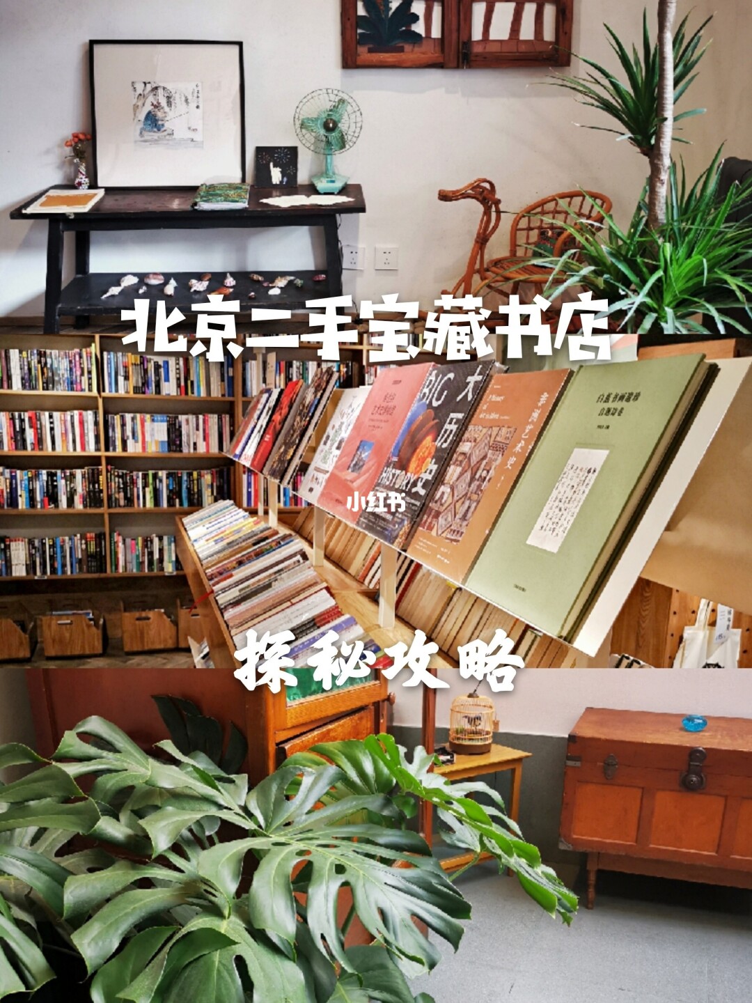 异闻录欧阳轩辕的身世_每夜一个离奇故事_每夜一个离奇故事欧阳轩辕