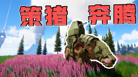 饥荒猪人革命mod_饥荒猪哥制作的mod_饥荒游戏猪人革命