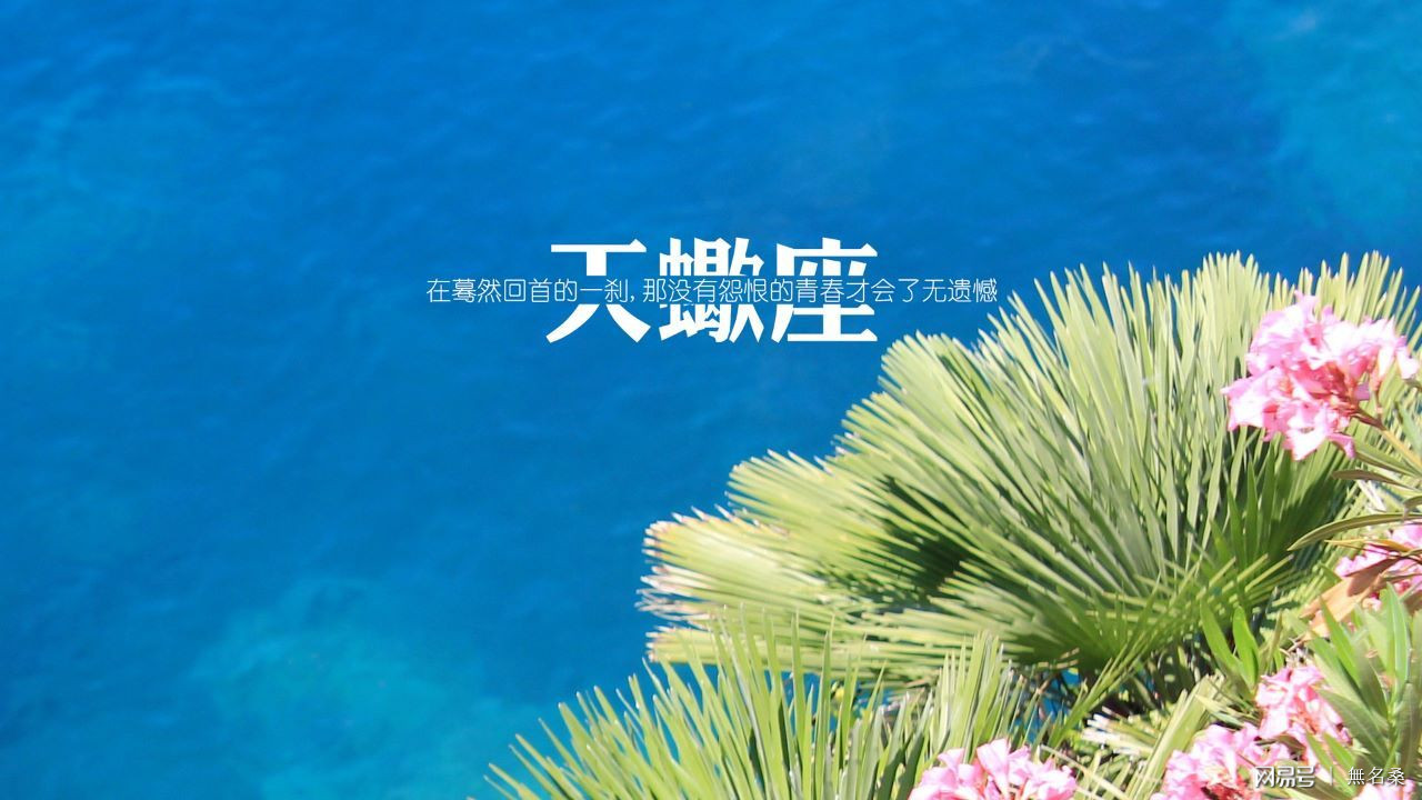 天蝎2016年运势唐立淇_天蝎座五月运势_天蝎爱情运势