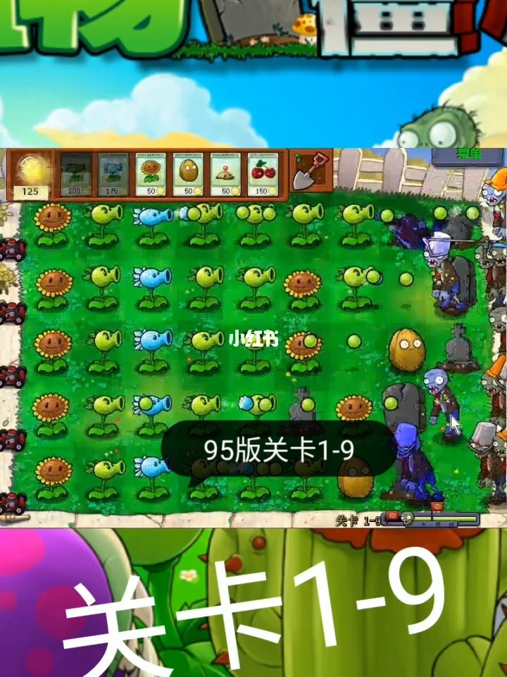 僵尸大战植物手机版下载_2010植物大战僵尸_僵尸大战植物英雄