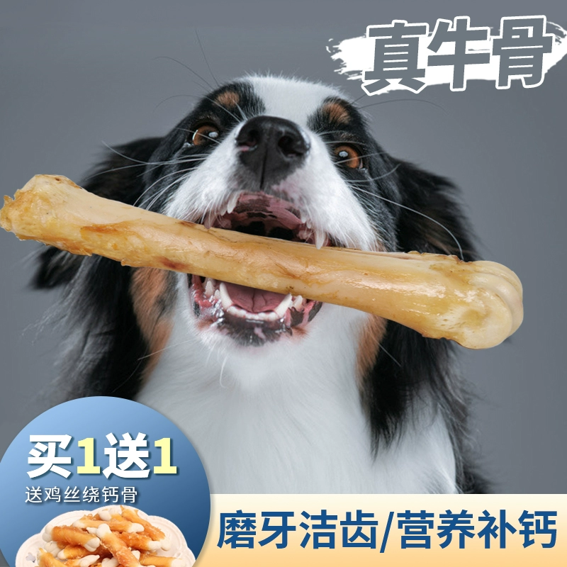 大狗狗影视 权利的游戏_大狗狗影视权力的游戏_大狗狗影视剧院