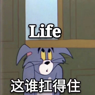 与可爱猫咪畅聊，汤姆猫游戏带你进入奇妙世界