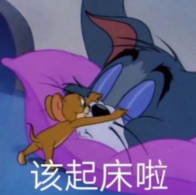 汤姆猫游戏会说话的_汤姆猫游戏会说话的金杰猫_会说汤姆猫游戏