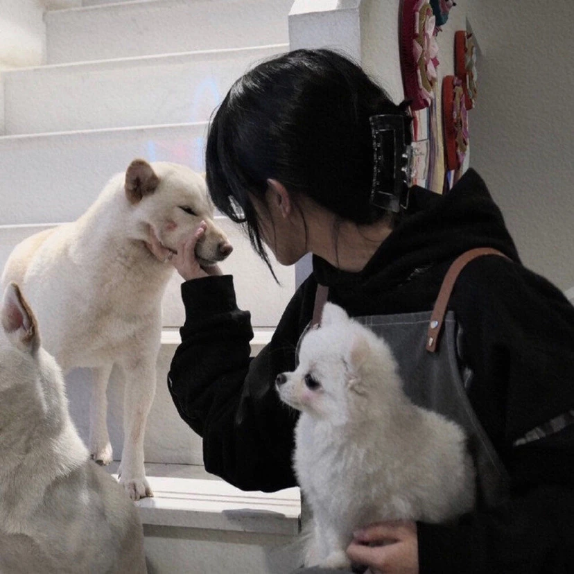 ios适合女生玩的游戏_适合女生玩的苹果游戏_女生玩的苹果手机游戏