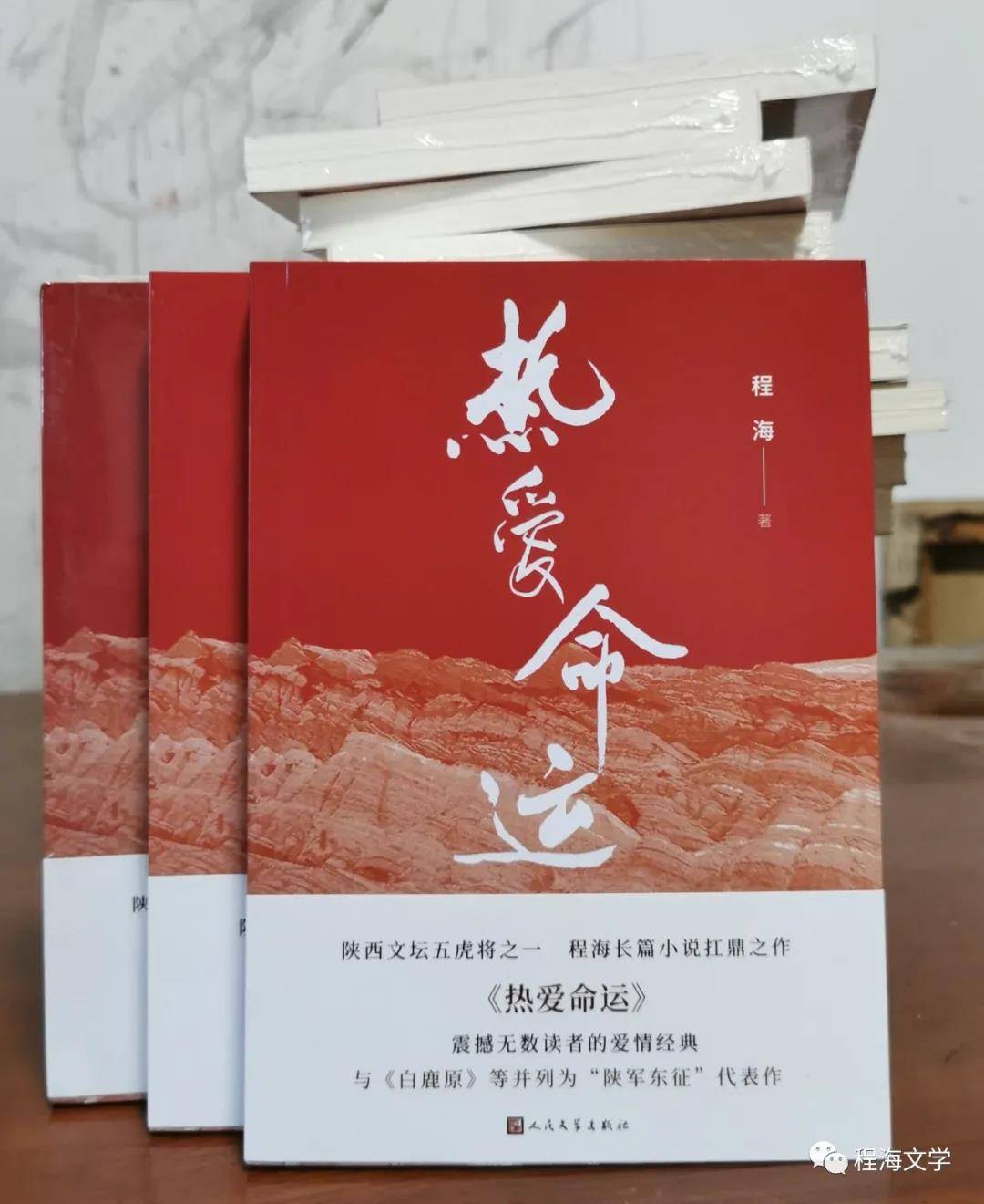 抗拒命运的句子_抗拒命运_拒绝多舛命运