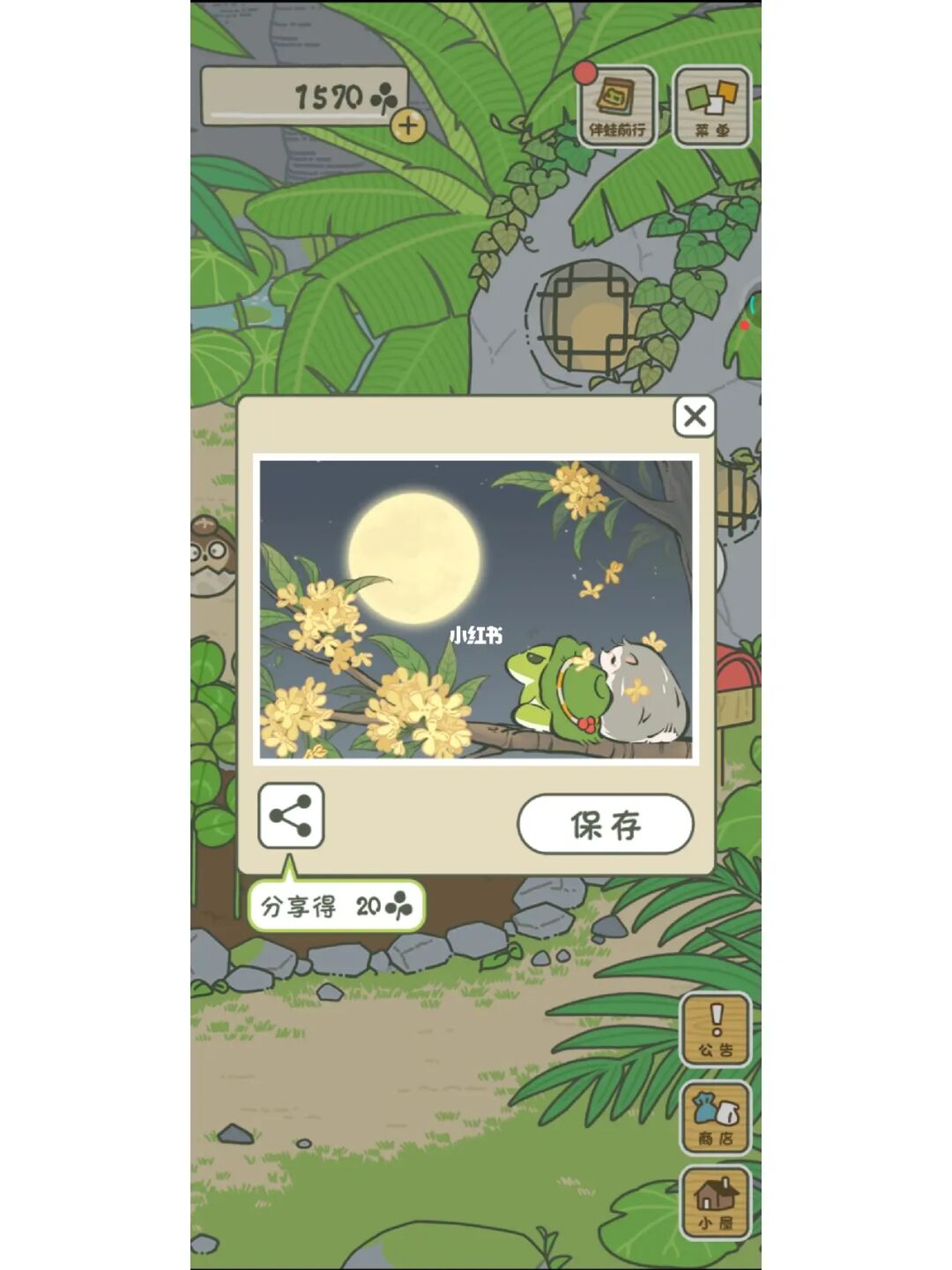 蛙旅行笔记_蛙旅行家里突然换了家具_旅行蛙