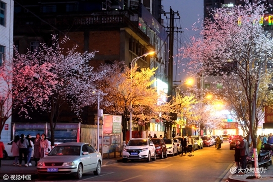 老师表酱紫_酱紫啊_就是酱紫