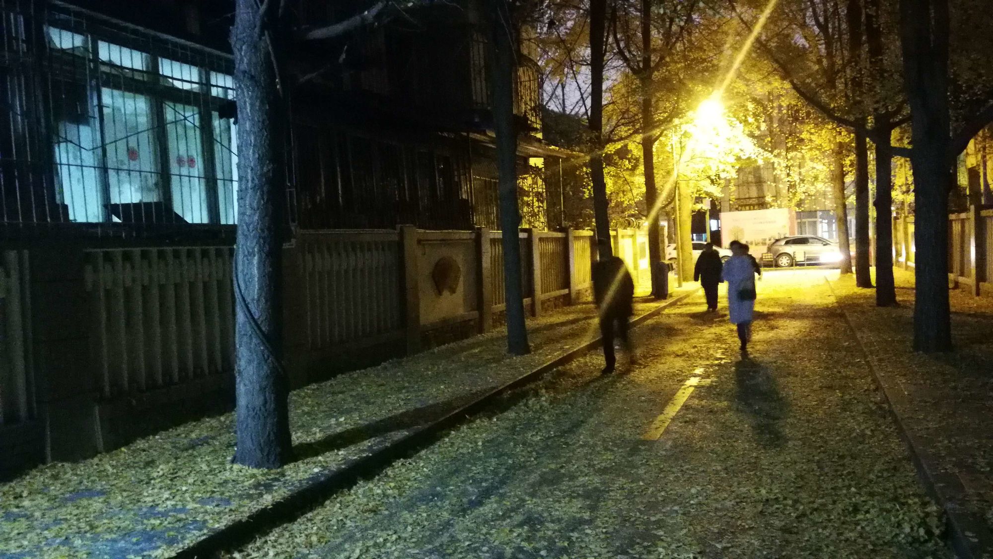 每晚夜里自我独行随处荡多冰冷_冷夜中我独自行走_每晚夜里自我独行歌词